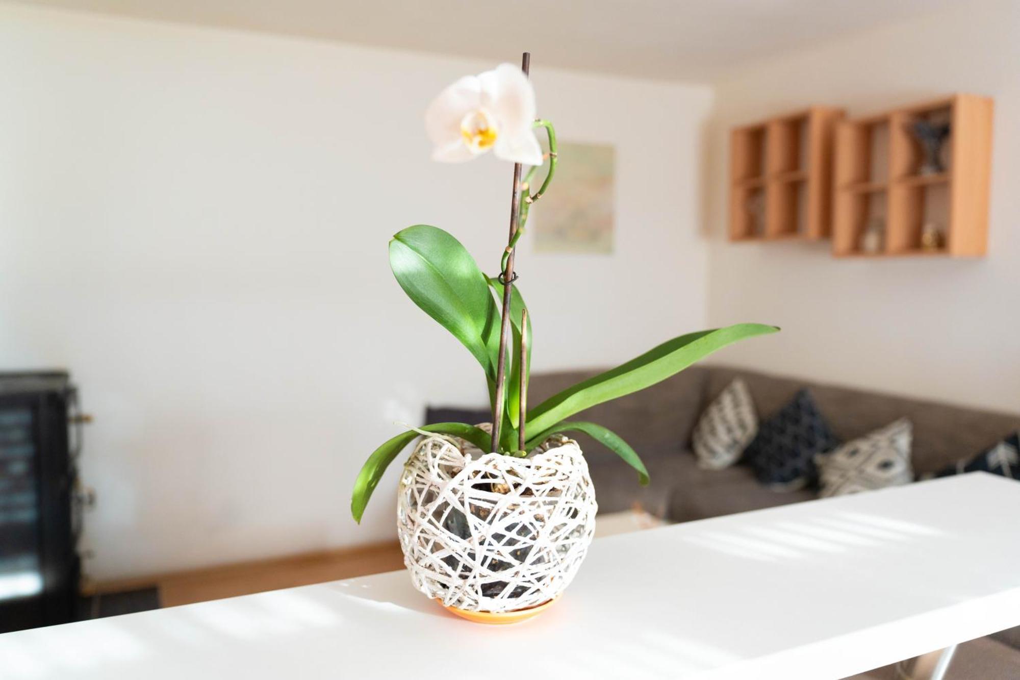Apartman Lili Knin Exterior photo